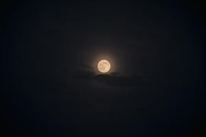 Nacht Mond