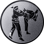 Emblem 25 mm 2 Karatekämpfer, silber
