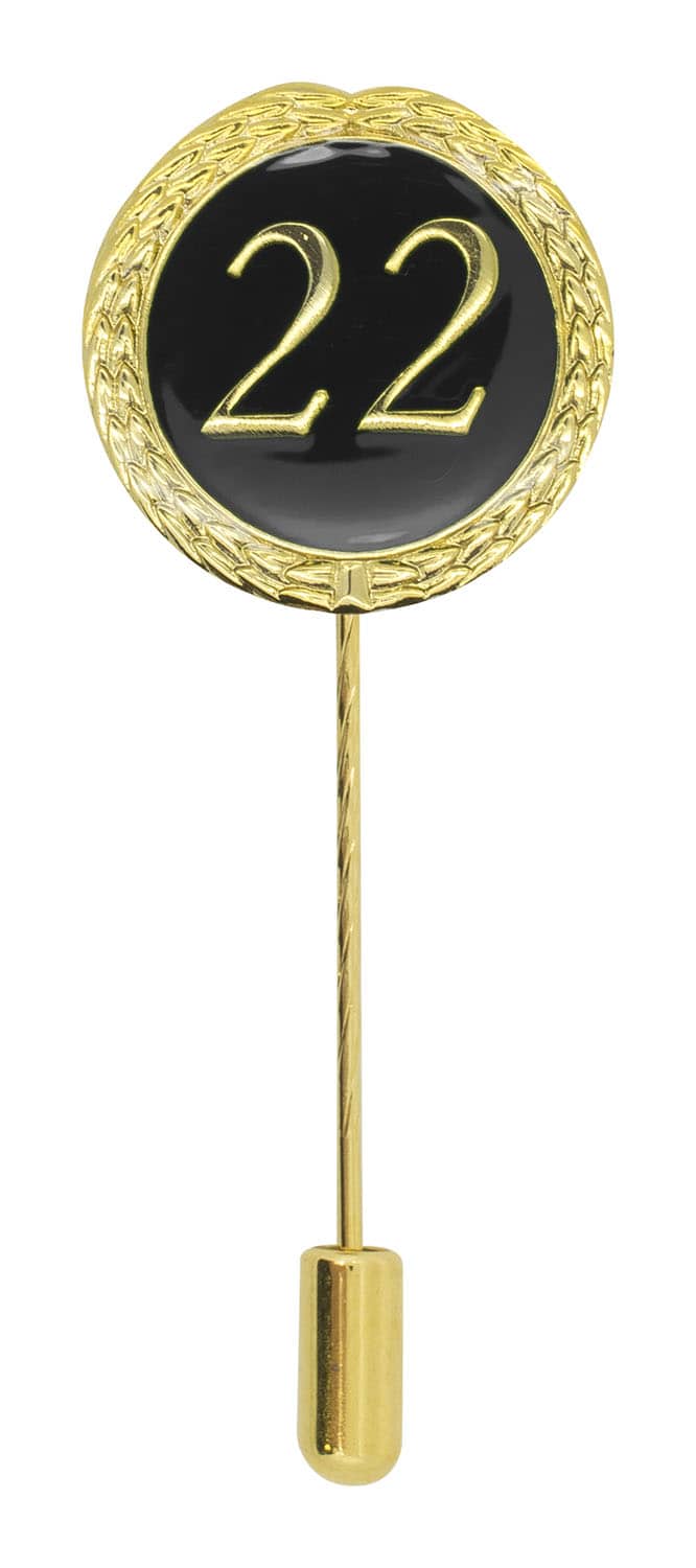 Hauptproduktbild von Anstecknadel 22 Jahre