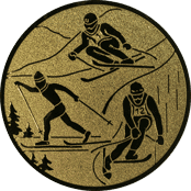 Emblem 25mm Ski, gold