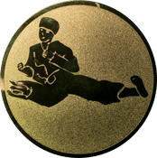 Emblem 25 mm Karatekämpfer, gold