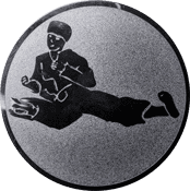 Emblem 25 mm Karatekämpfer, silber