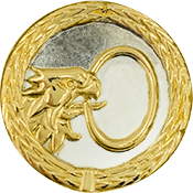 Auflage Adlerkopf mit Ring silber/gold