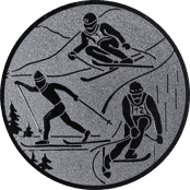Emblem 25mm Ski, silber