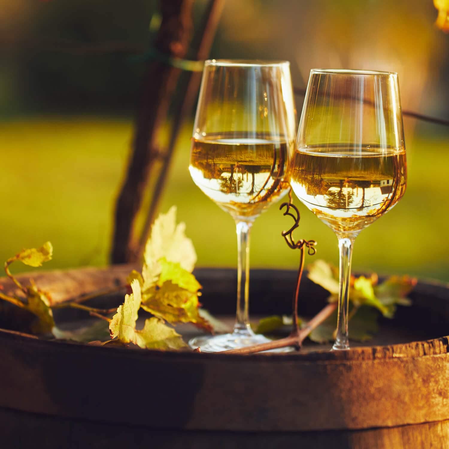 Produktbild 3 von Leonardo Weißweinglas 370ml Ciao+ mit Motiv "Beste Mama"