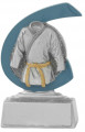 Judopokal C650 silber