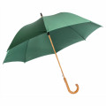 Regenschirm Schützengrün