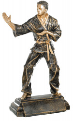 Trophäe Karateka FS52533 bronze