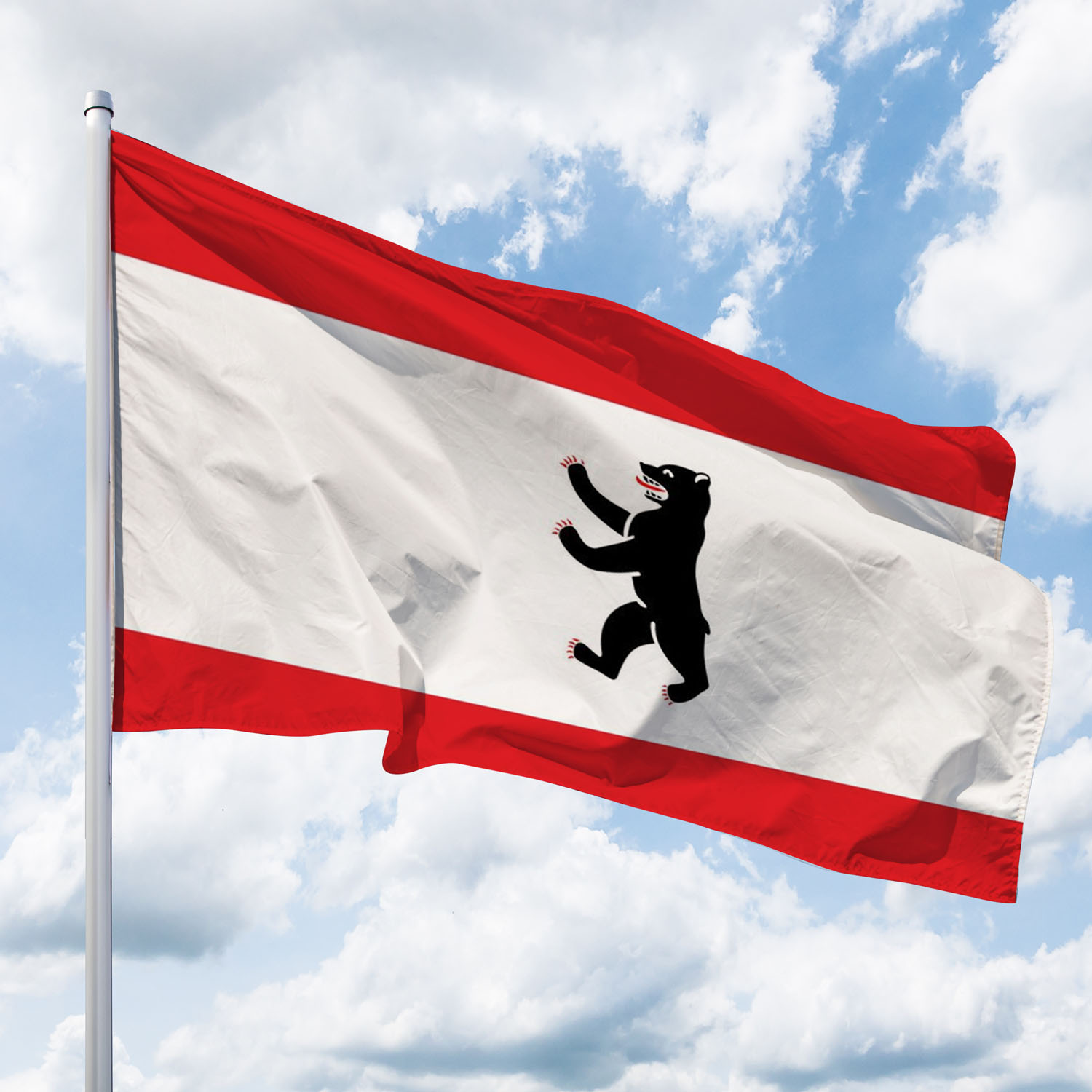 Bundesländer-Fahnen Österreich Flagge & Fahne online kaufen